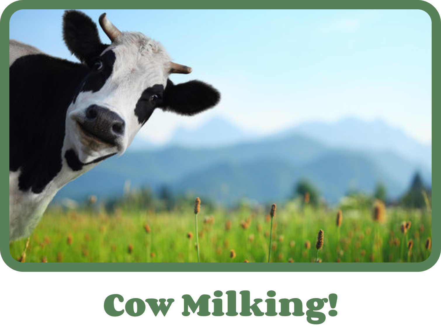 milk
